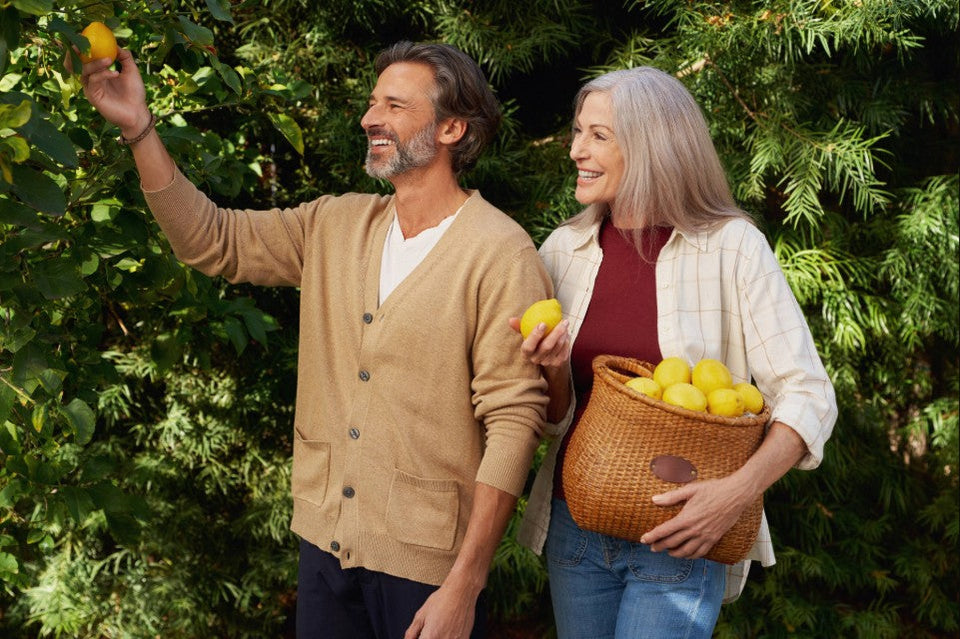 Two people harvesting fresh lemons in a lush garden.