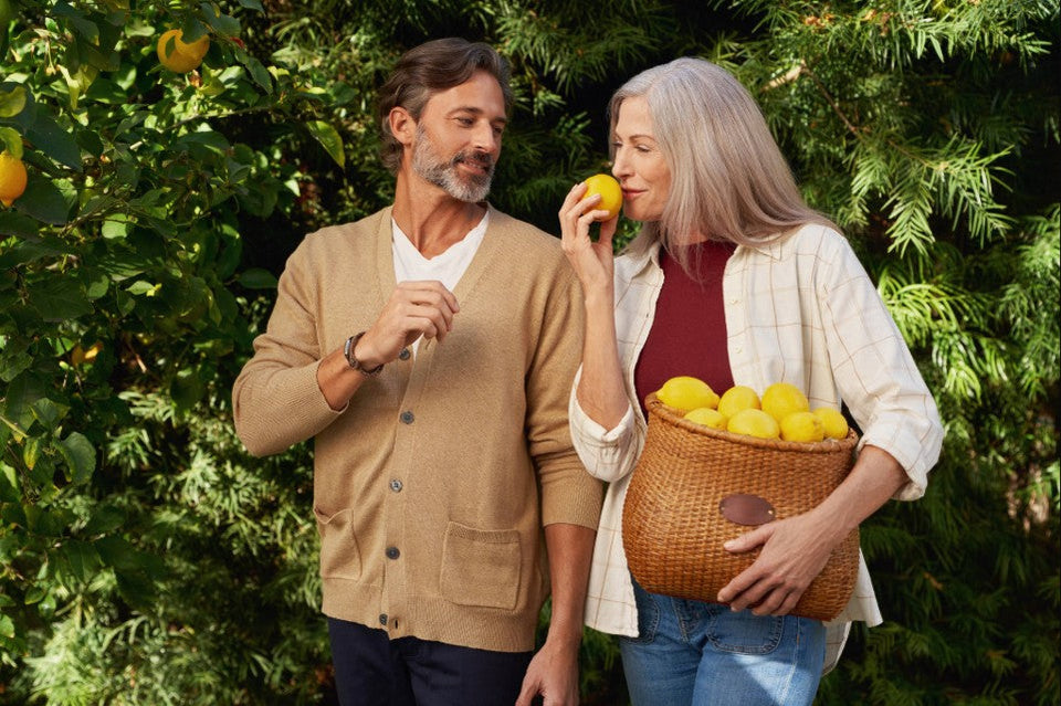 Two adults picking fresh lemons from a garden.