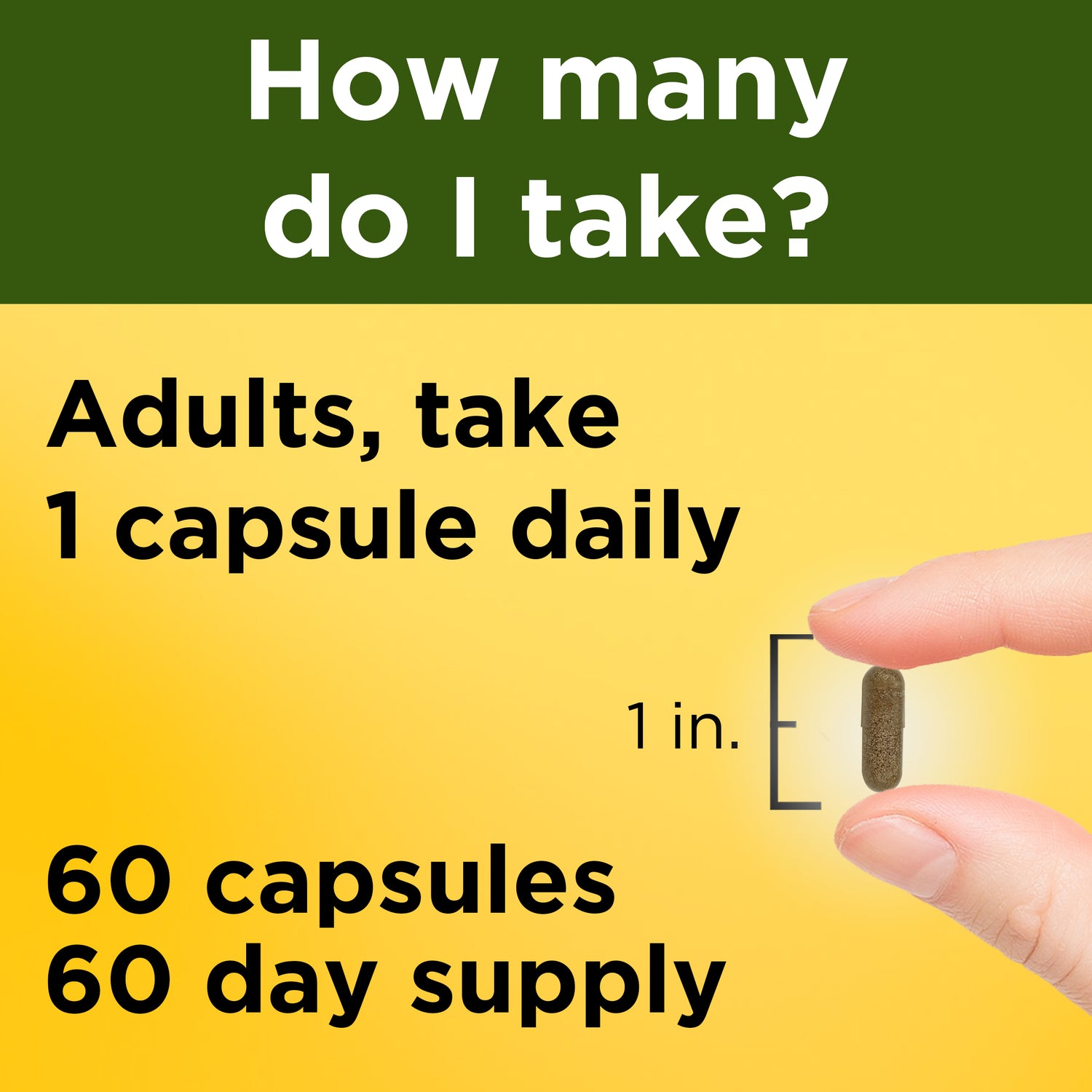 Ashwagandha Capsules | 