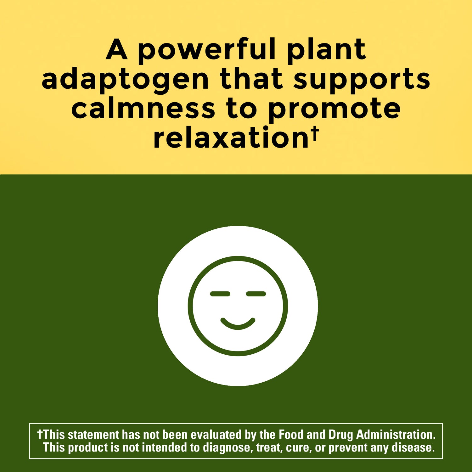 Ashwagandha Capsules | 