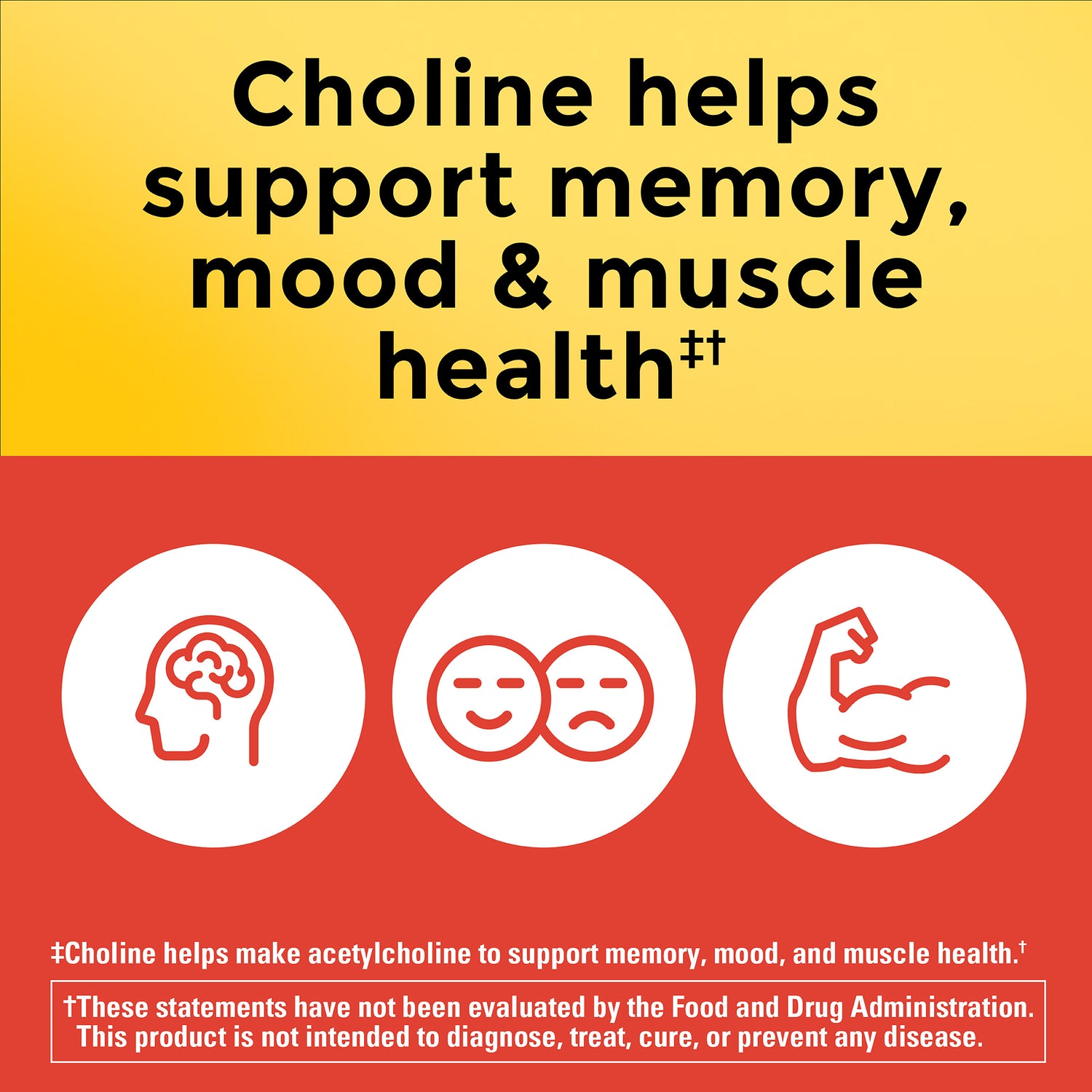 Choline Extra Strength Dosage 800 Mg Per 3 Capsules | 