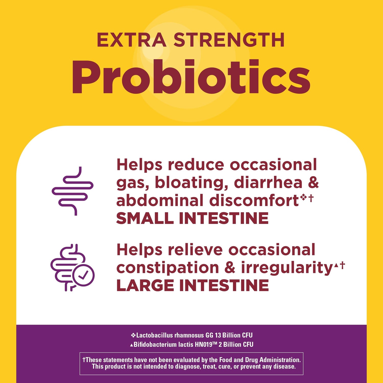 Probiotics Extra Strength 15 Billion CFU from Live Cultures Capsules | Probiotics benefits graphic showing support for occasional gas, bloating, and digestive balance