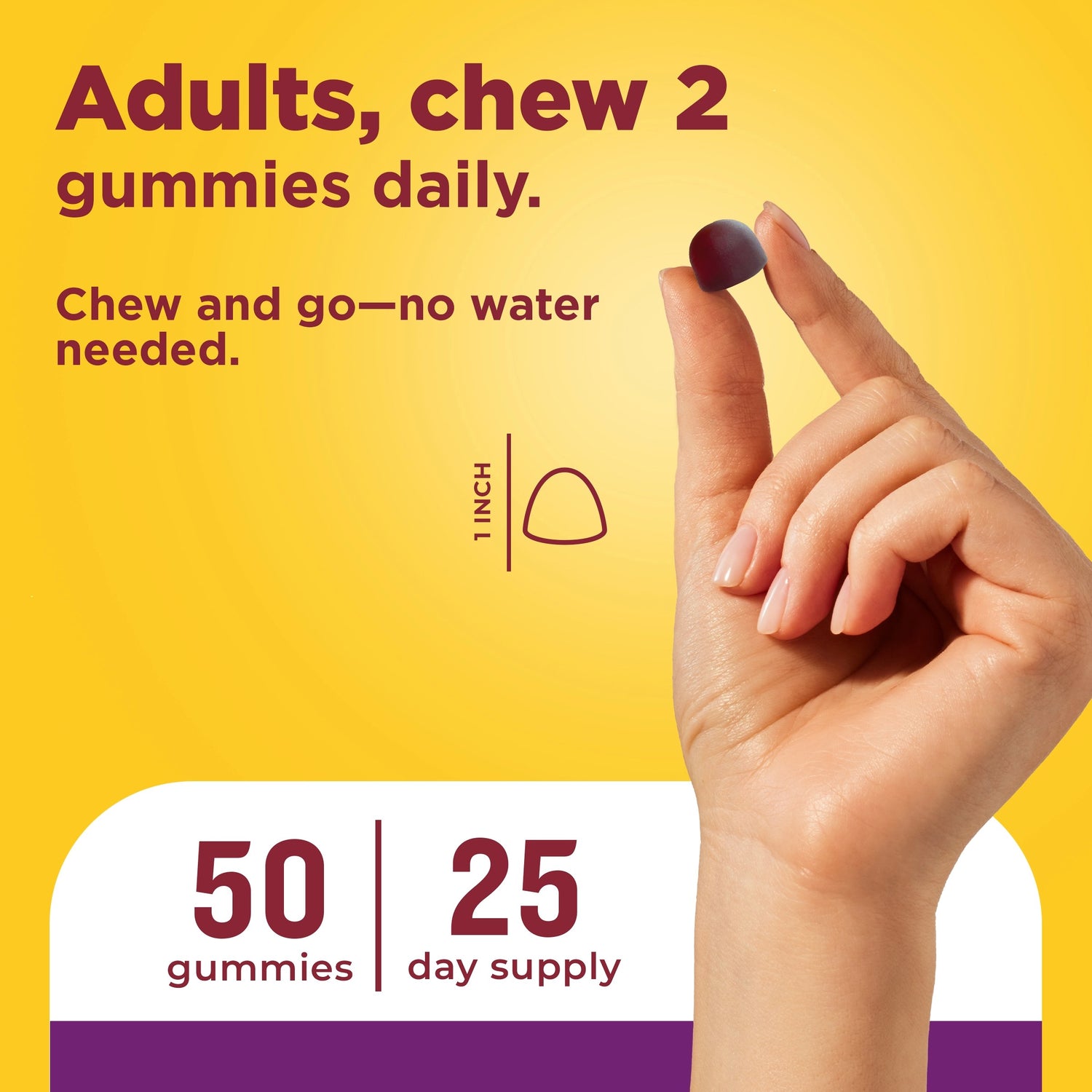 Probiotic + Prebiotic Fiber Gummies | Hand holding gummy with directions: adults chew 2 gummies daily, no water needed.
