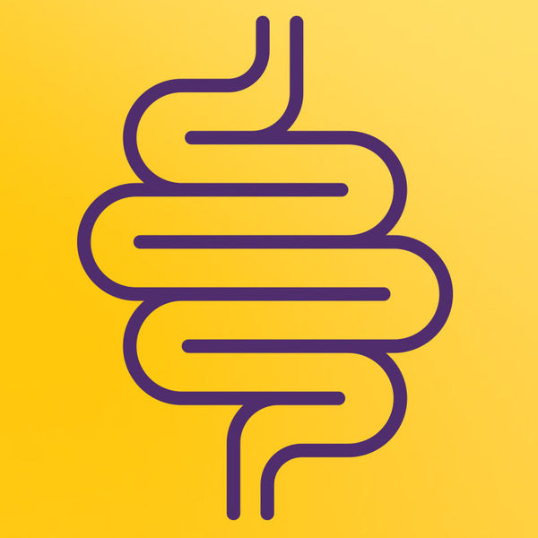 What Are Prebiotics?