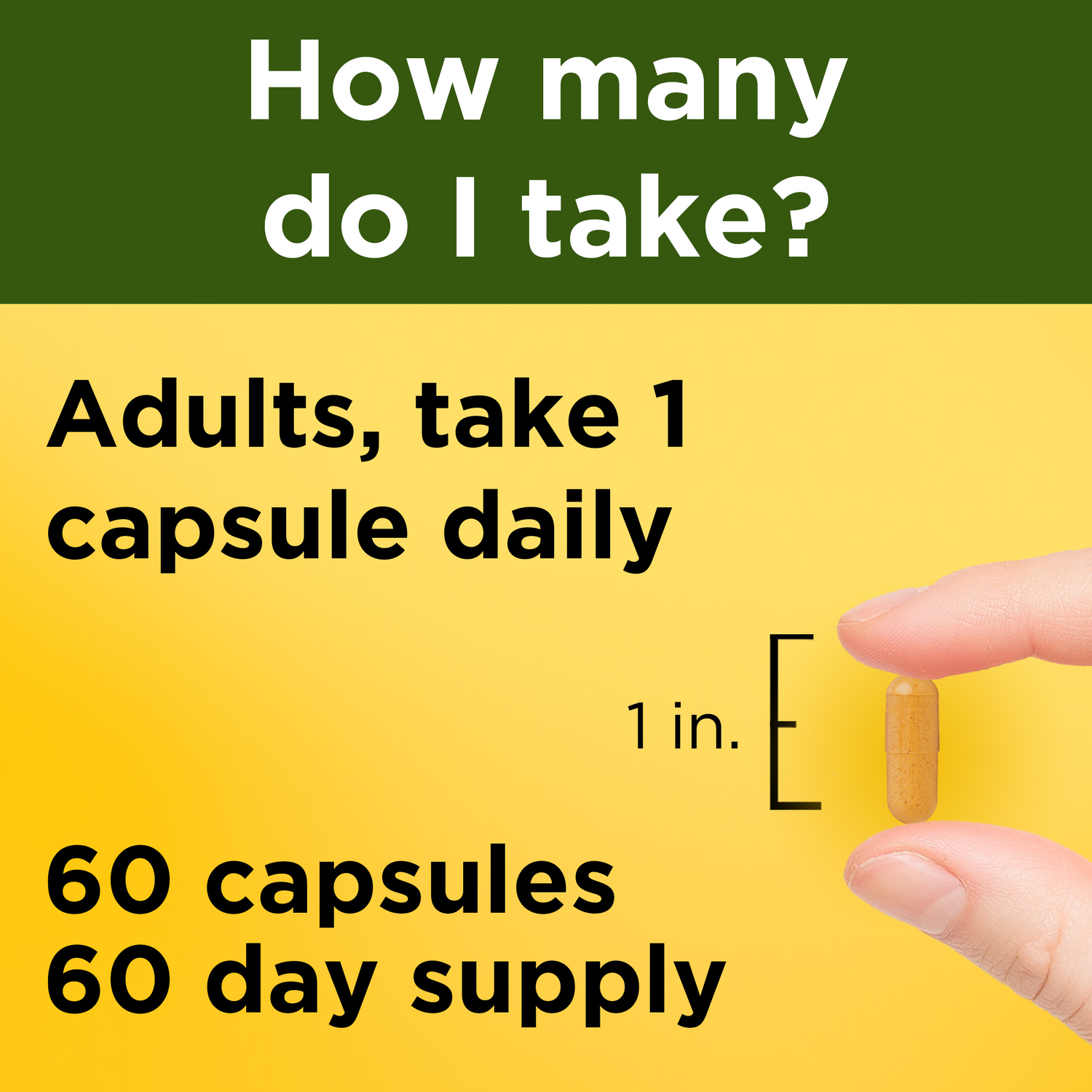 500 mg Turmeric Curcumin Capsules | 60