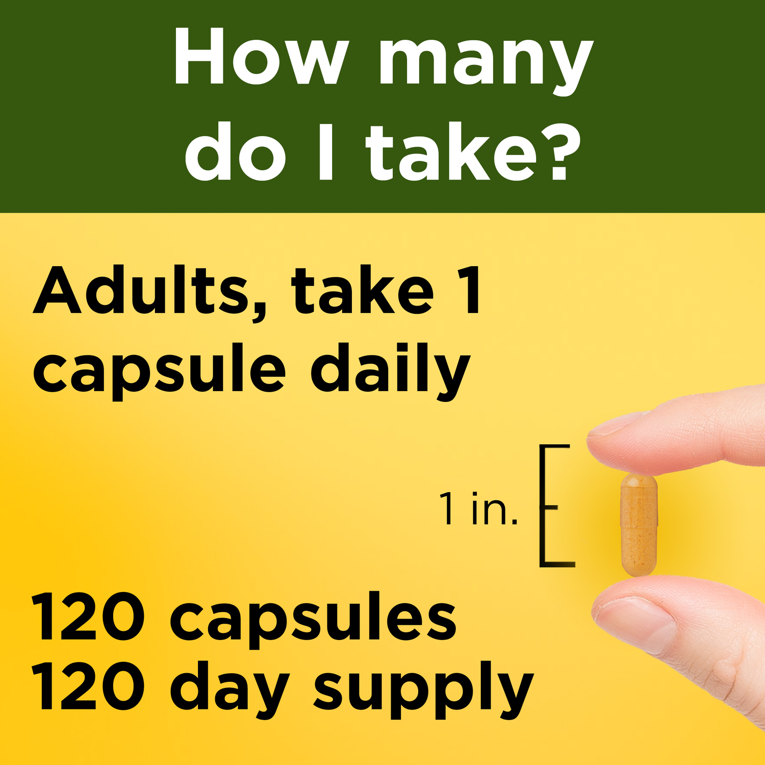 500 mg Turmeric Curcumin Capsules | 120