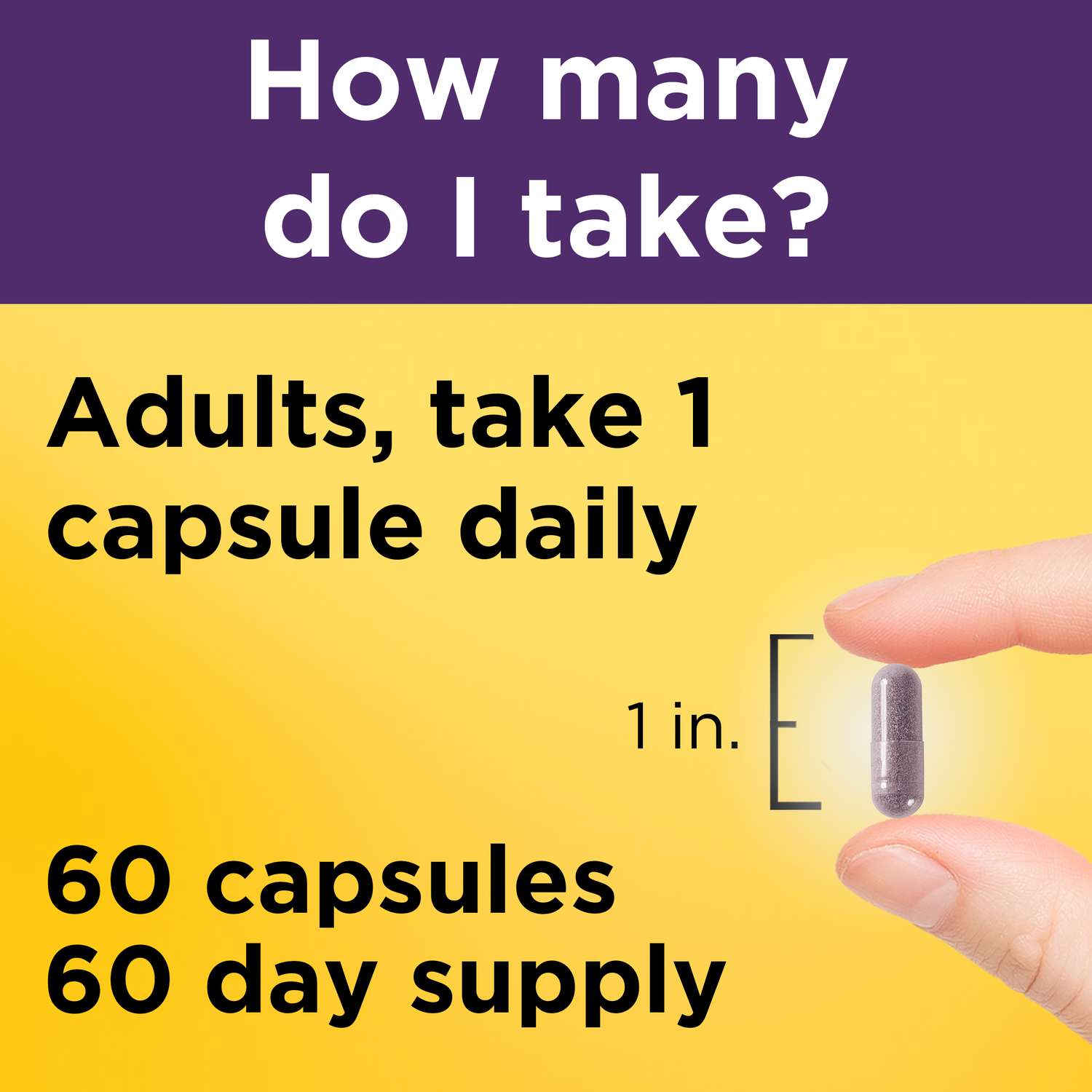 Elderberry Capsules with Vitamin C and Zinc | 
