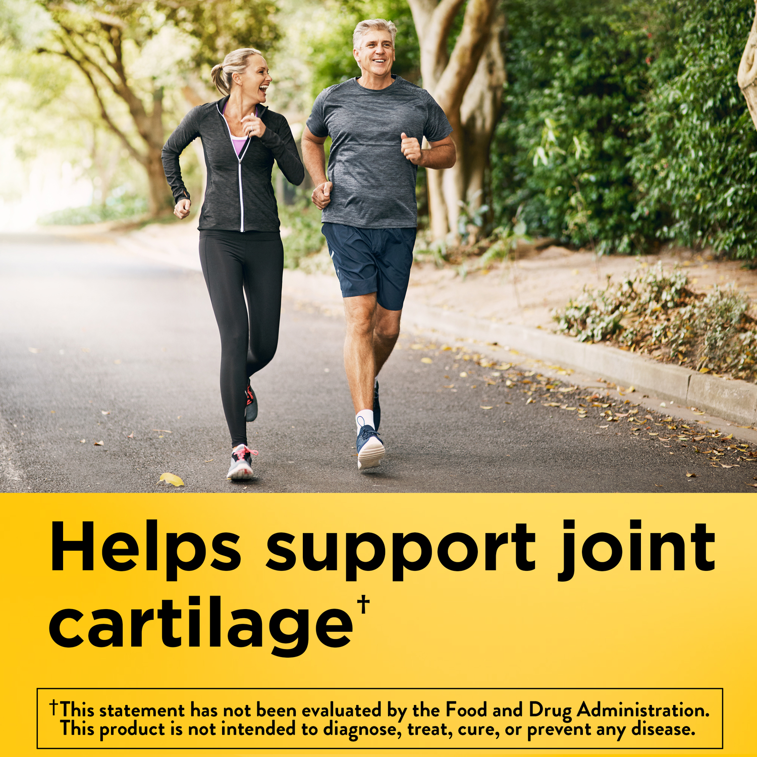 Glucosamine Chondroitin Complex with MSM Triple Strength‡ + Vitamin D3 | 