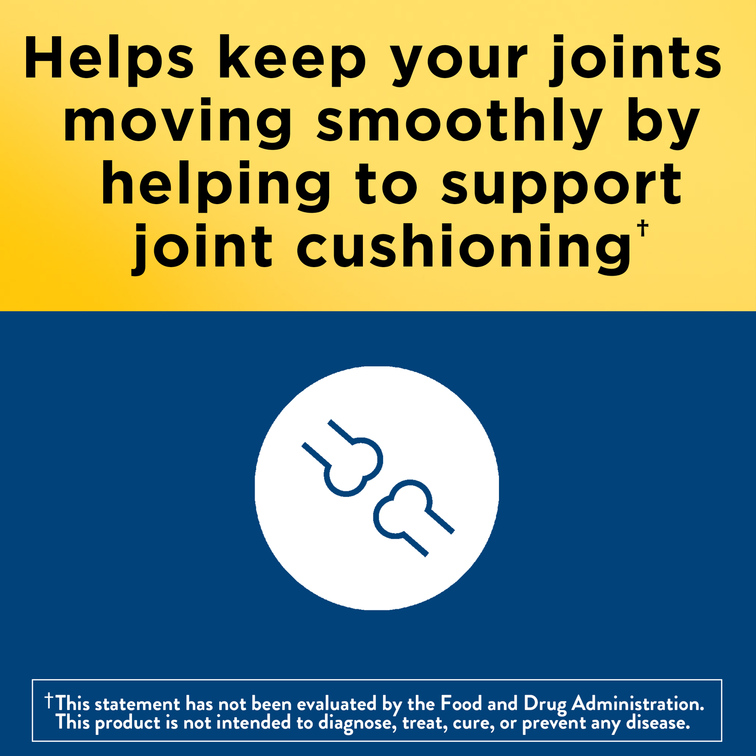 Glucosamine Chondroitin Complex with MSM Triple Strength‡ + Vitamin D3 | 